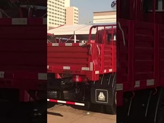 Howo 4*2 Leichtwagen Lastwagen